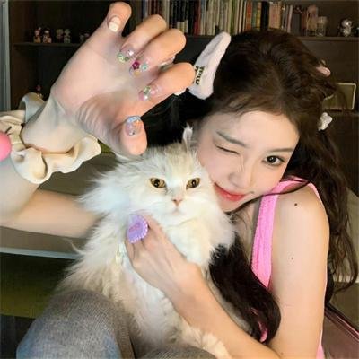 窈窕淑女，君总好逑