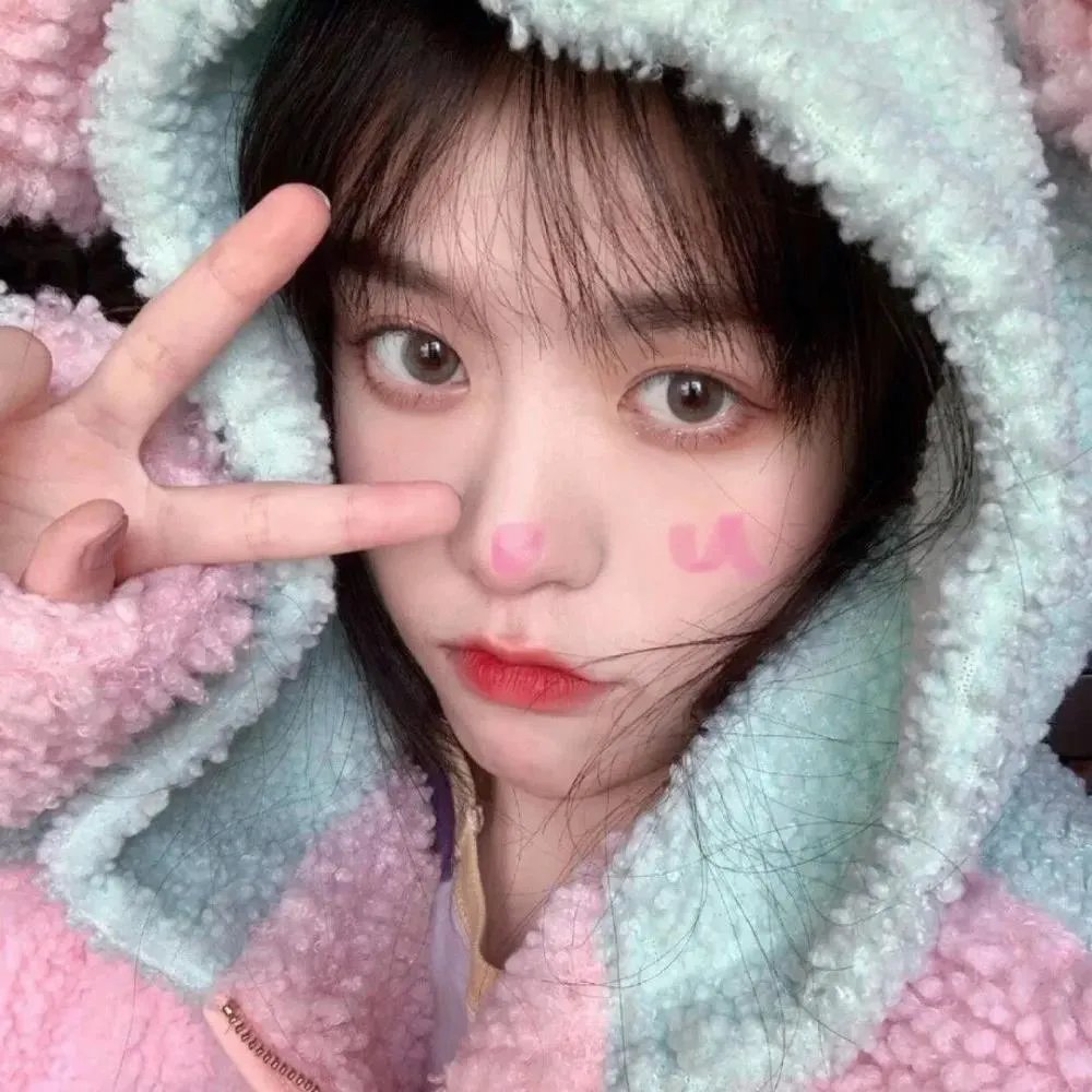 狮子护卫队第二季